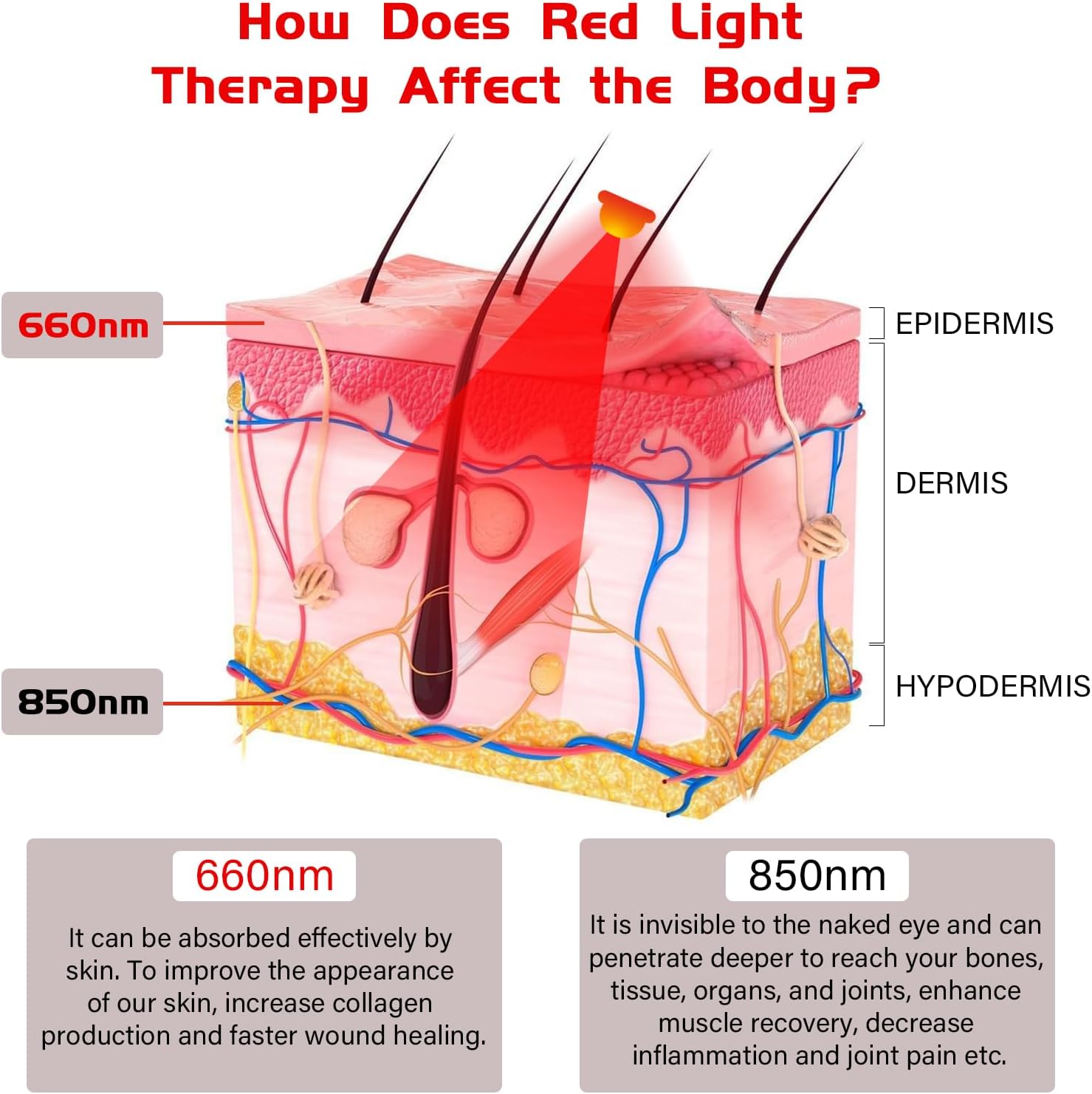 Red Light Therapy Belt, Infrared Light Therapy Wrap Red Light Therapy Device for Body with Timer for Back Shoulder Waist